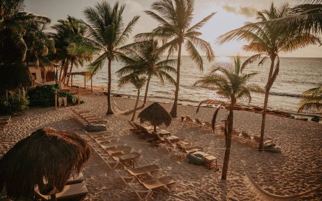 Petit Lafitte Hotel