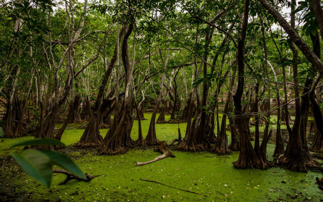 Cenote Popol Vuh