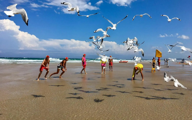 Hi Ho Beach Apartments