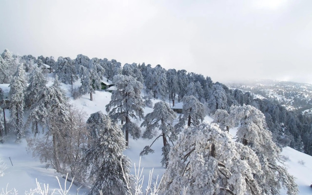 Troodos Hotel