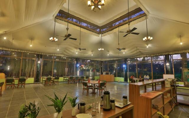 Bison Retreat - Pench