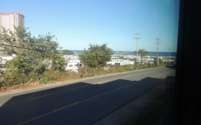 Ocean Bridge #b14