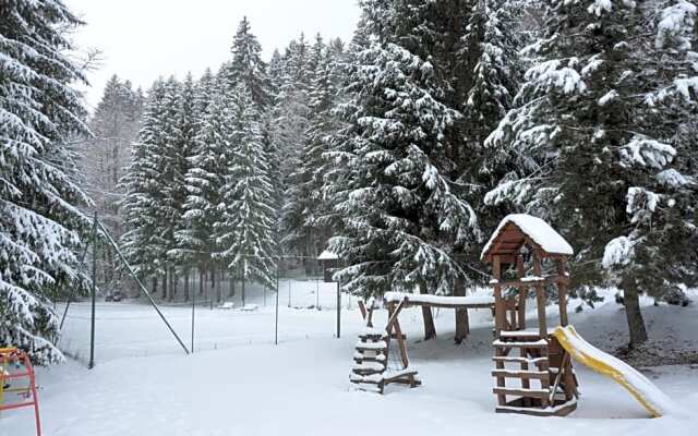 Ski Lake Cottage Krpáčovo