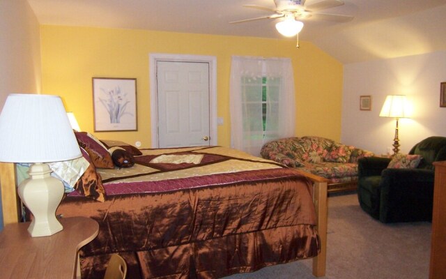 Tree Top Bed & Breakfast