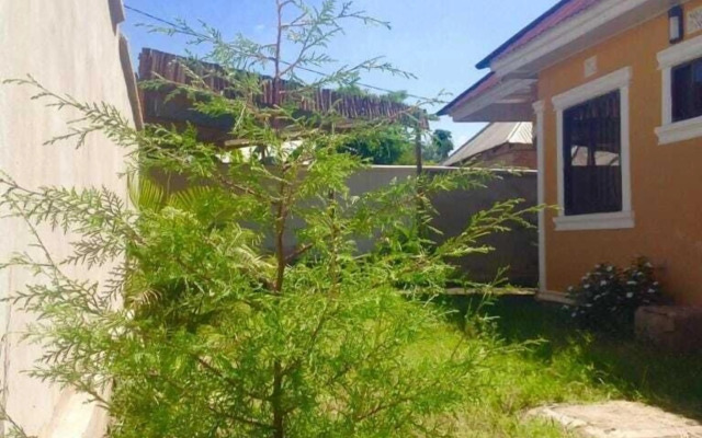 View Mountain House - Backpackers