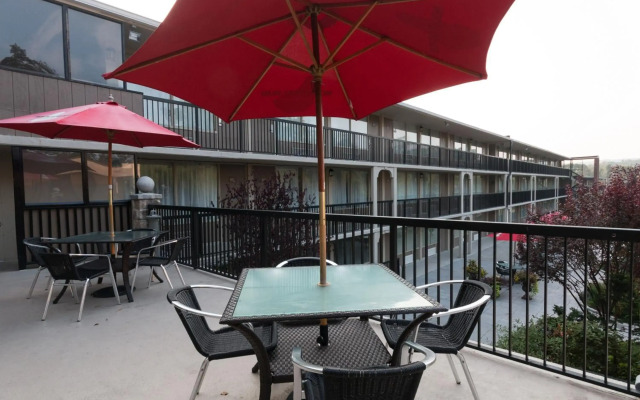 New Hope Inn & Suites