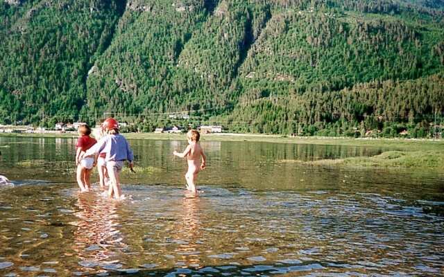 Holiday Home in Todalen