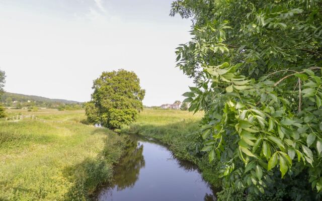 The Ash View
