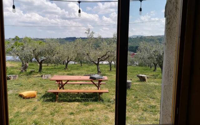 Le Terre D'Abruzzo Tenuta Grumelli