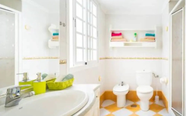 Sea Stars Las Canteras