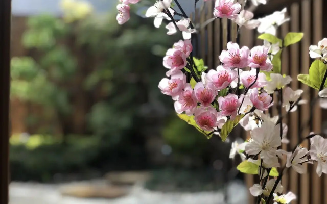 SAKURA Aburaya