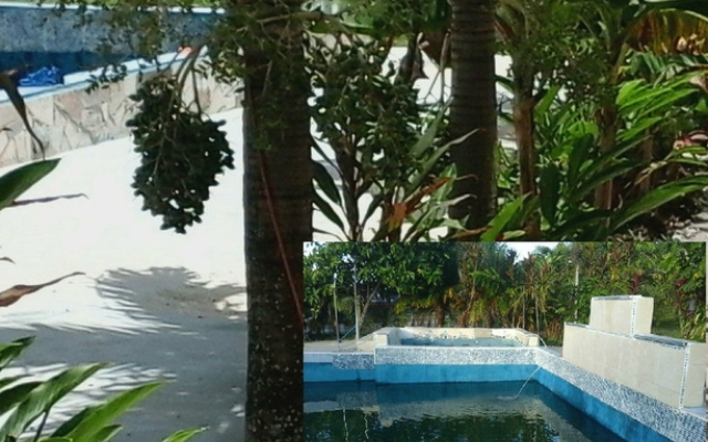 Super Palm Resort