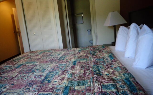 Regal Inn - Chicago O'Hare Airport