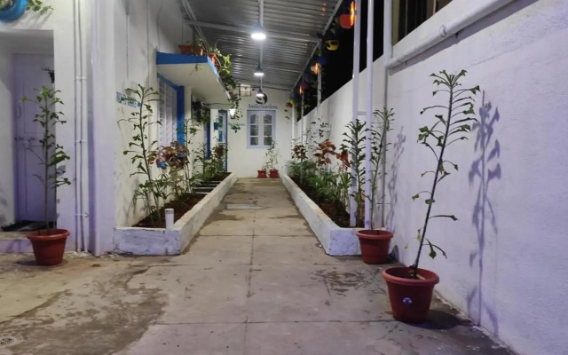 ADH Amilia Gardens