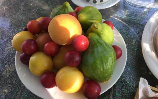 BB I Guardiani DellOrto