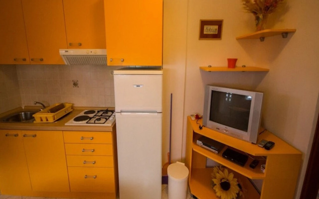 Daju - 3 Colours - A3 Narančasti