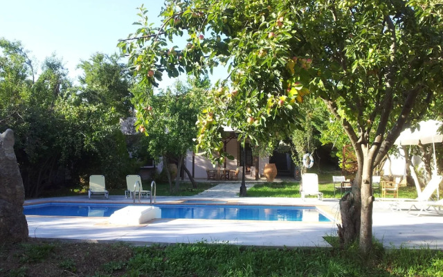 Zeus House Gaia