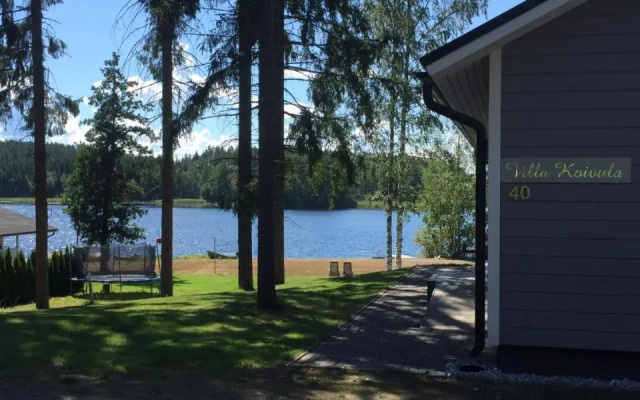 Villa koivula