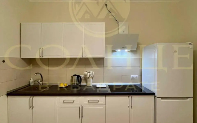 Apartments on Novocheremushkinskaya 56k3 street