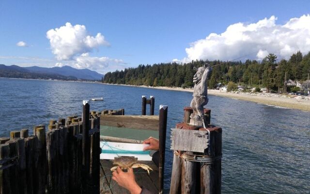 Sunshine Coast Treetop Wonderland