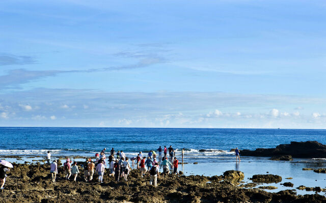 YoHo Beach Resort