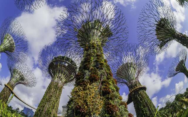 Grand Hyatt Singapore