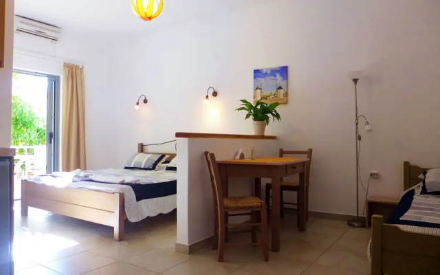 Lion-Suites