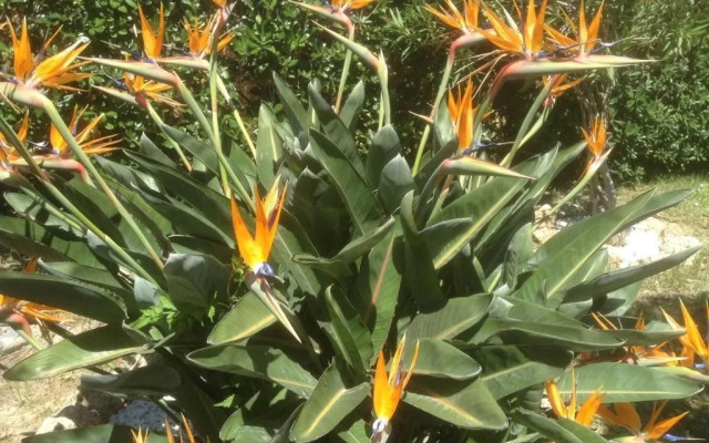 Affittacamere Le Logge