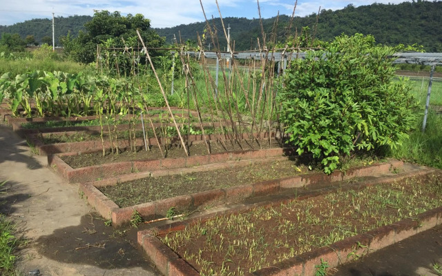 Tien Chon Xiao Lin Homestay