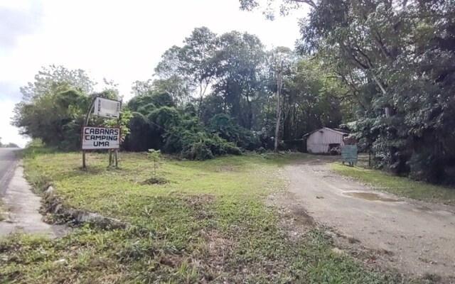 Casados Ranch