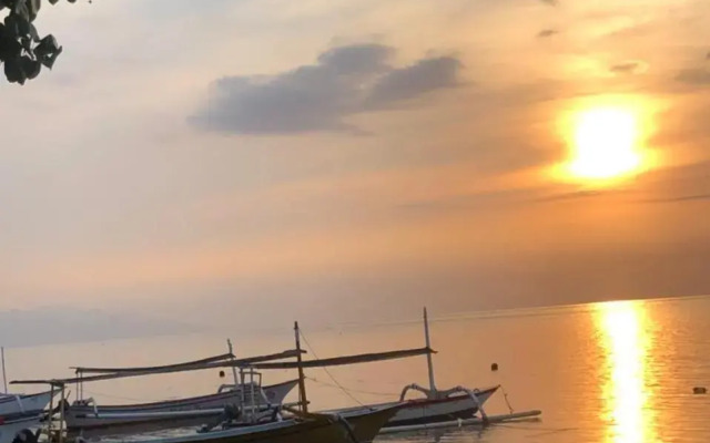 Shady Grove Healing Centre and Homestay