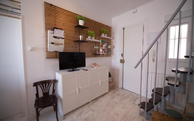 M (Aca11) Estudio 4 Pax