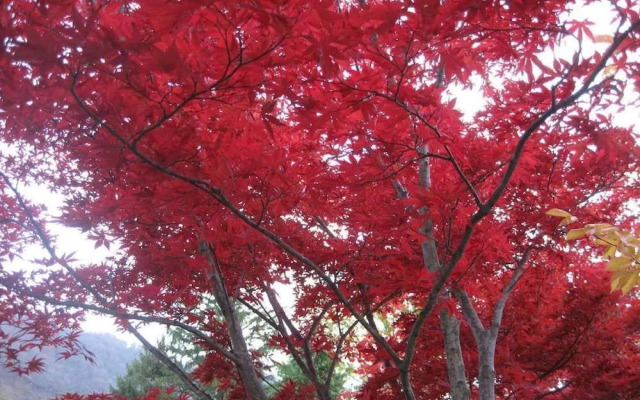 Towada So