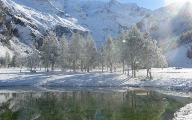 Chalet la Vigogne