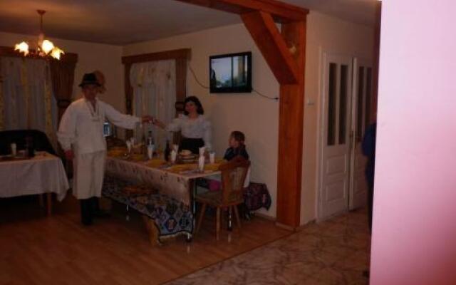 Pensiunea Ana Orghici