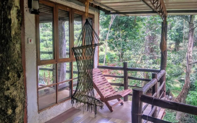 Jungle Jive Tree House Munnar