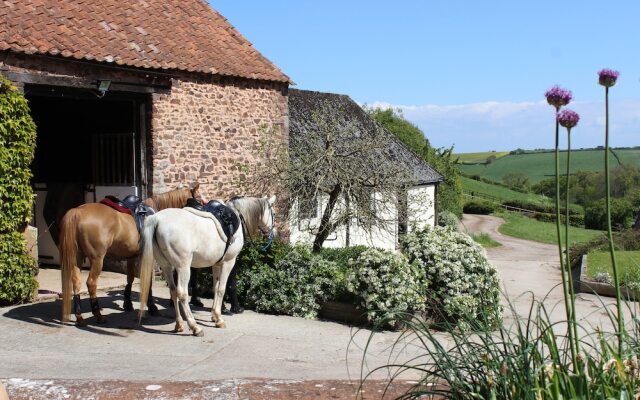 Pardlestone Farm: B&B