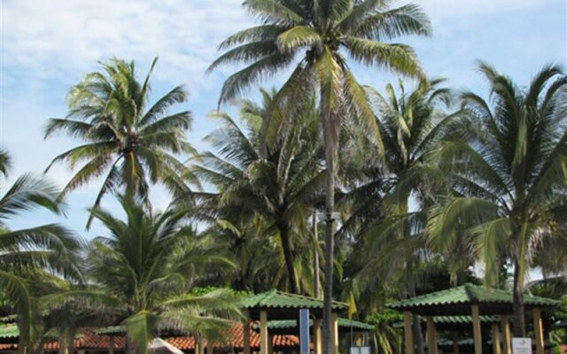 Pacific Paradise