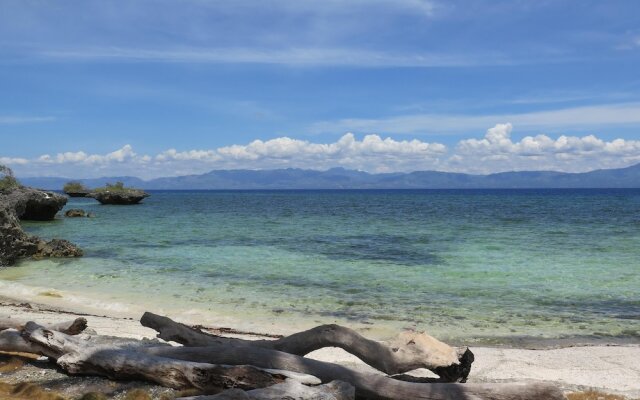 The Wild Orchid Resort - Moalboal