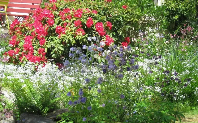 Chambres D'hï¿½tes Saint Aignan