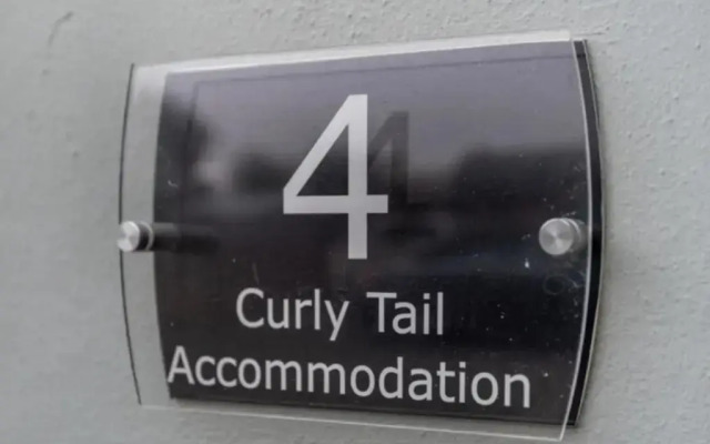 Curly Tail Accommodation