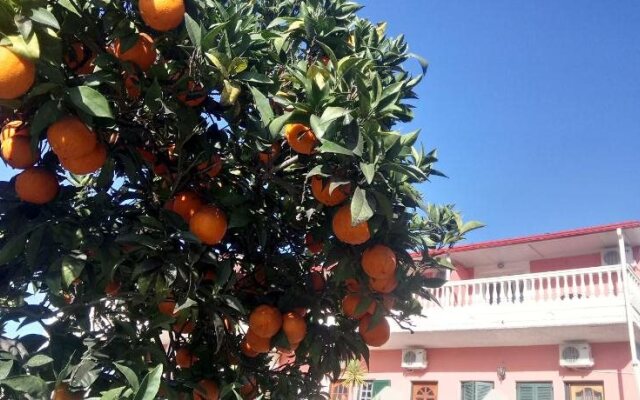 Flamingo Apartments Moraitika Corfu