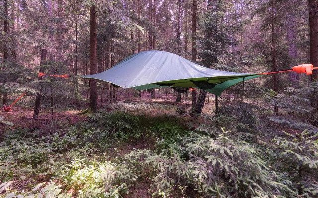 Baumzelt im Wald