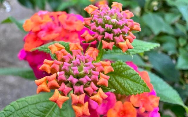 S & R Bed and Breakfast