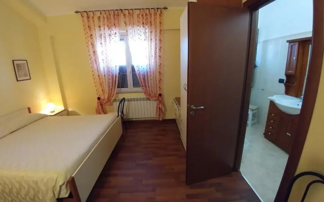 Bruno B&B