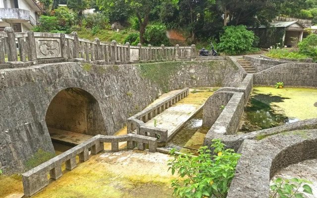 Papillon パピヨン