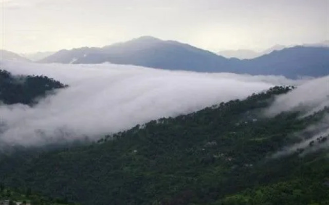 Hotel Kasauli Woods