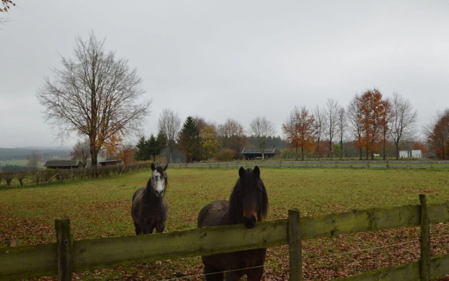 A Modern Group House, Near the Picturesque Town of Monschau