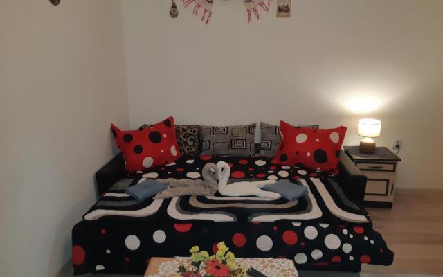 Florin Apartament