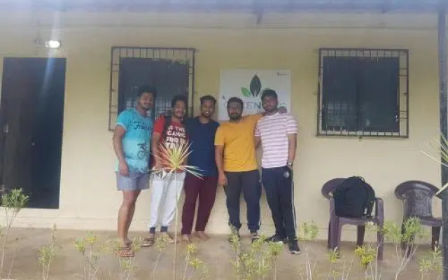 Green Fog Guesthouse